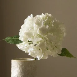 Botané White Outlet