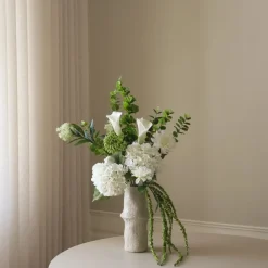 Botané White Outlet