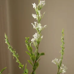 Wild Flower>Botané Hot