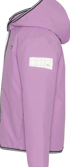 Winner><noscript><img width=