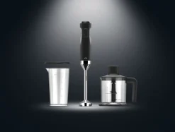 PREMIUM HAND BLENDER>Witt Sale