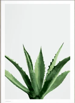 Wonderhagen - Agave plakat>Poster & Frame Best