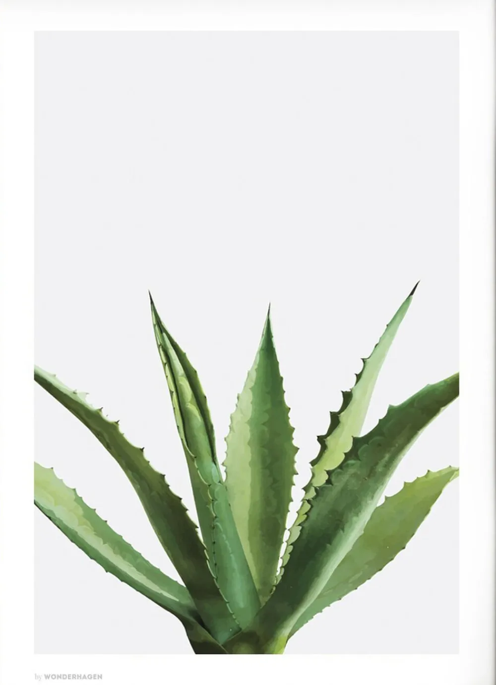 Wonderhagen - Agave plakat>Poster & Frame Best