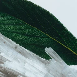 Wood Sage & Sea Salt Cologne Travel Spray>Jo Malone London New