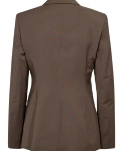 Dame Tiger of Sweden YLJA