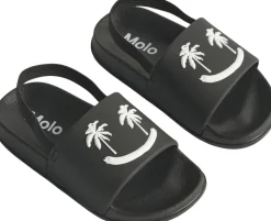 Zhappy><noscript><img width=