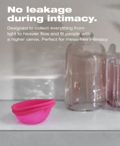 Ziggy Cup 2 Size B>INTIMINA