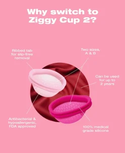 Ziggy Cup 2 Size B><noscript><img width=